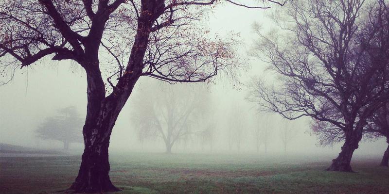 牛币网基金筛选秘籍：巧用夏普比率、最大回撤等核心指标，轻松挑选优质基金