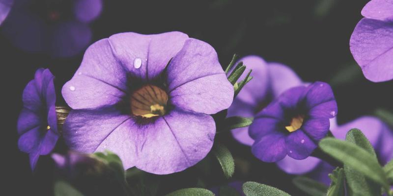 牛币网解析：当前宏观经济形势下的资产配置策略与实战指南