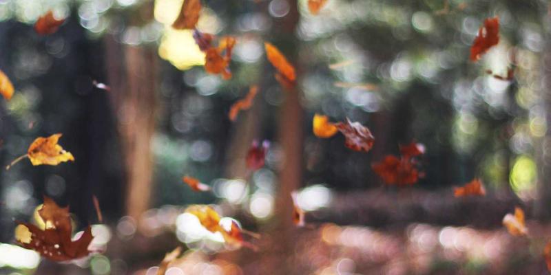 牛币网解读：通货膨胀下的财富保卫战——三大抗通胀资产配置策略